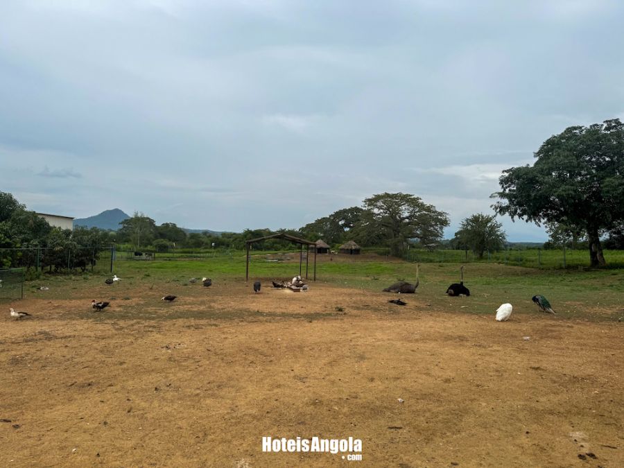 Pousada de Quilengues - Imagem 5